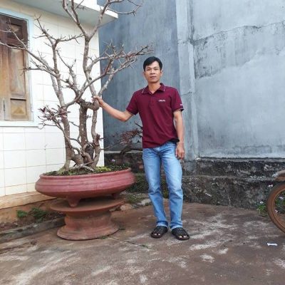Hồ Tuấn Lai Hồ Tuấn Lai